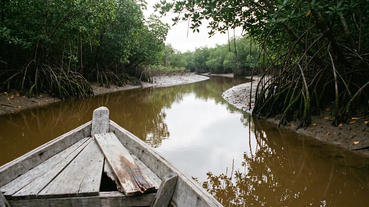 A still tea-coloured mangrove creek under overcast light, arching stilt roots stepping into the water on both banks, the unpainted prow of a wooden boat below.